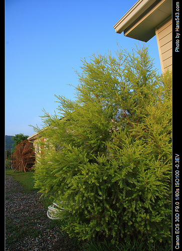 3days_165