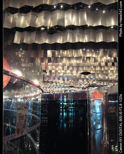 k9_party_02