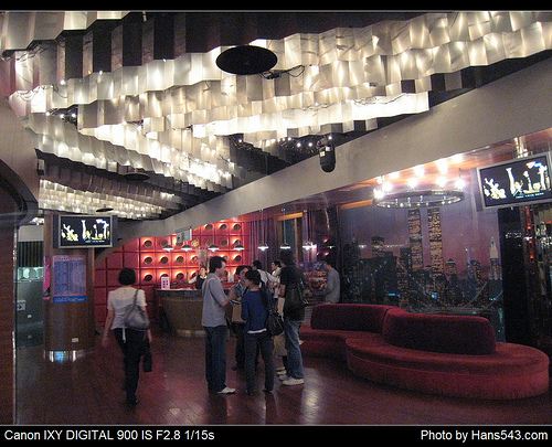 k9_party_04