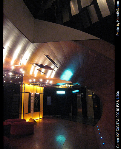 k9_party_06