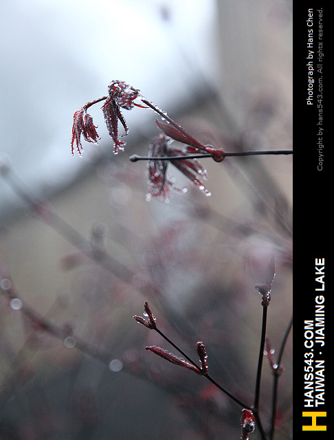 JiamingLake_019