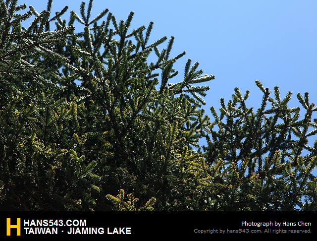 JiamingLake_061