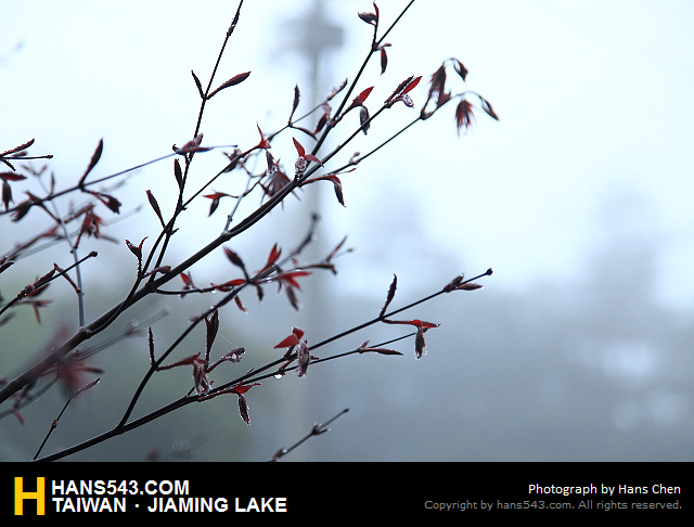 JiamingLake_018