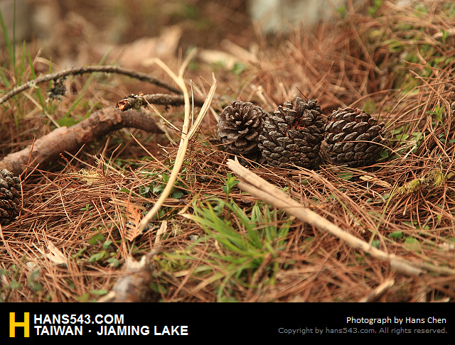 JiamingLake_043