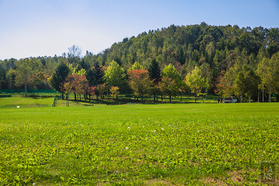 北海道瀧野鈴蘭丘陵公園