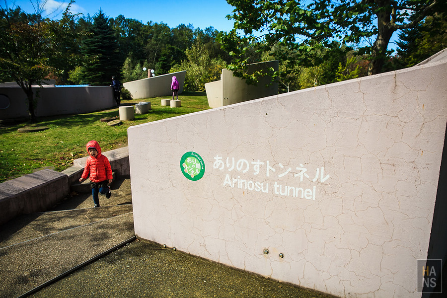 北海道瀧野鈴蘭丘陵公園