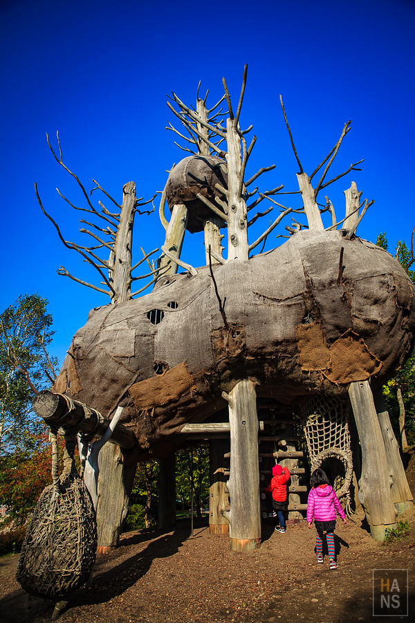 北海道瀧野鈴蘭丘陵公園