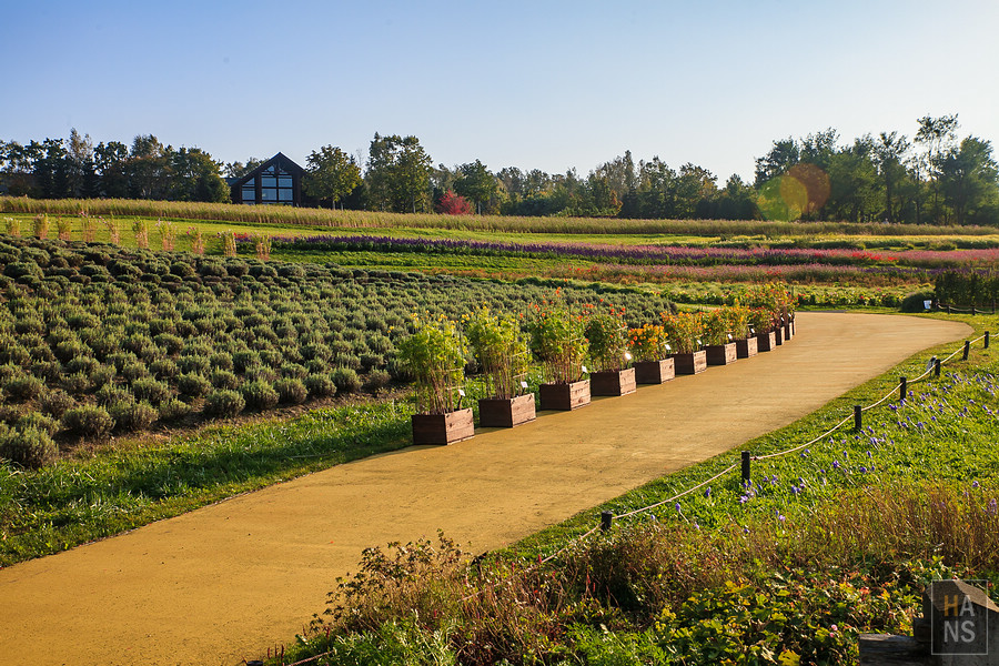 北海道瀧野鈴蘭丘陵公園