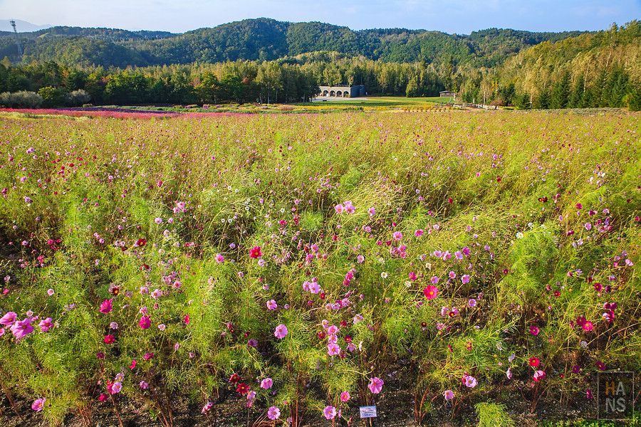 北海道瀧野鈴蘭丘陵公園