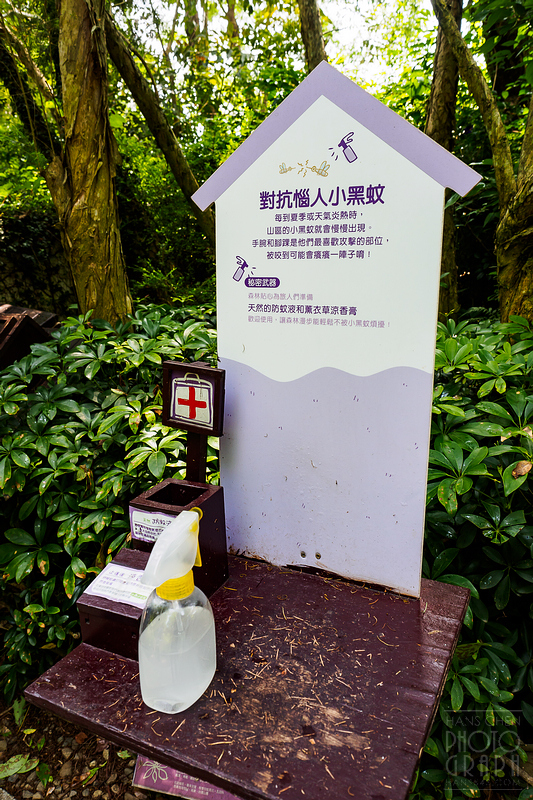 薰衣草森林明德店