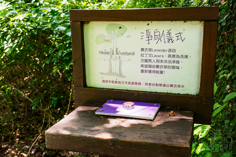 薰衣草森林明德店