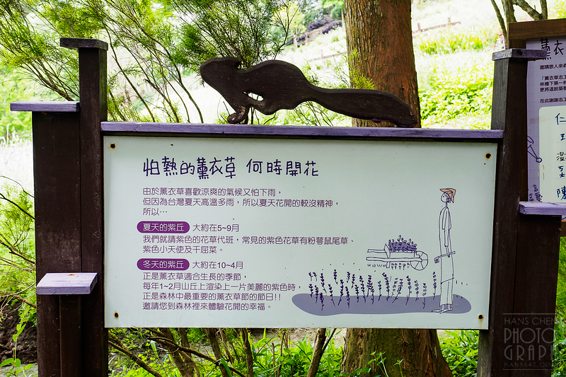 薰衣草森林明德店