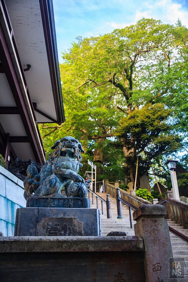 成田衹園祭總舞蹈