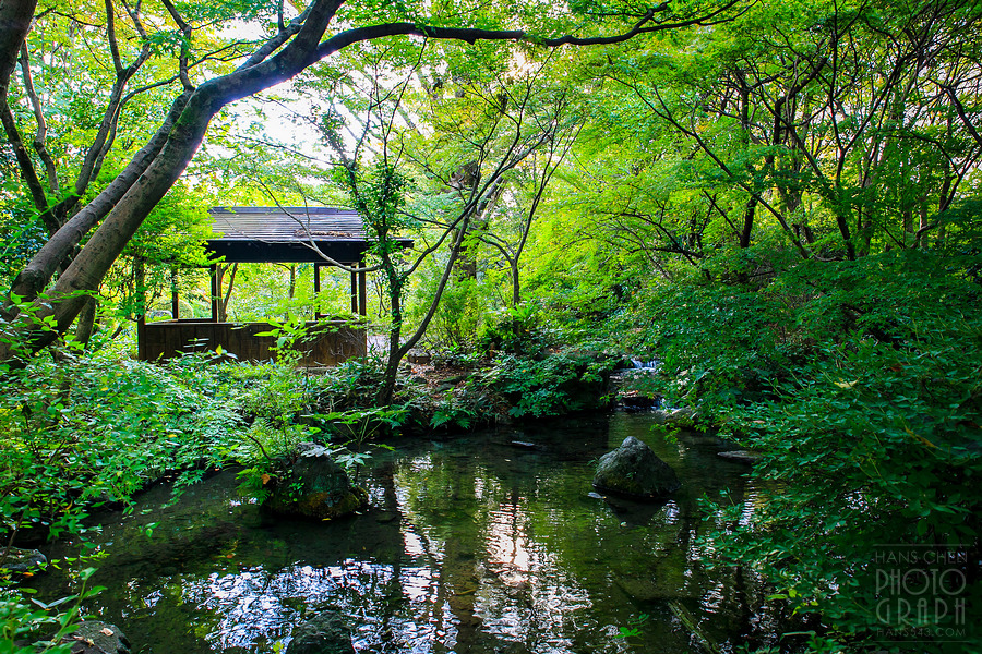 石橋文化中心與久留米市美術館