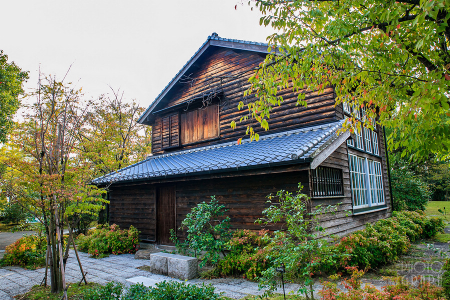 石橋文化中心與久留米市美術館