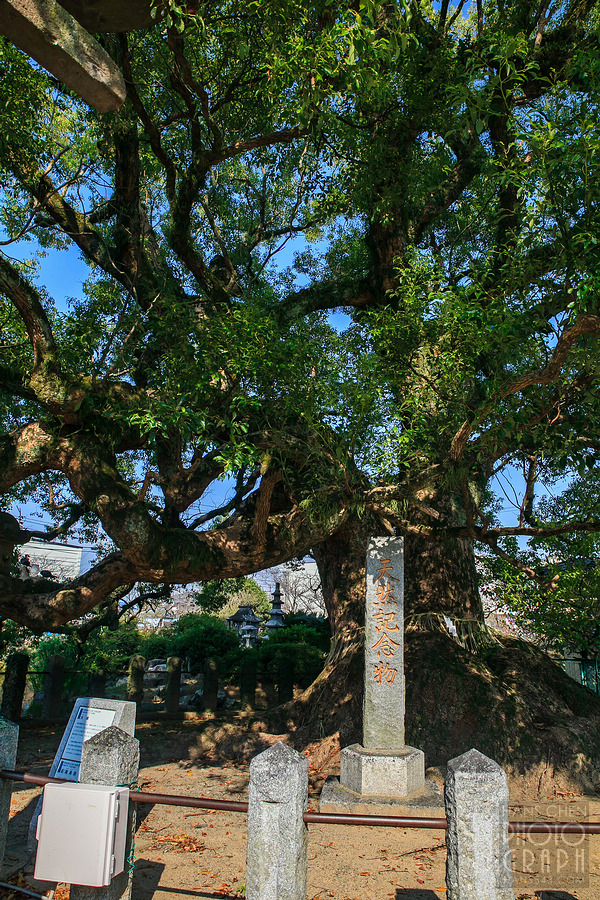 久留米北野天滿宮