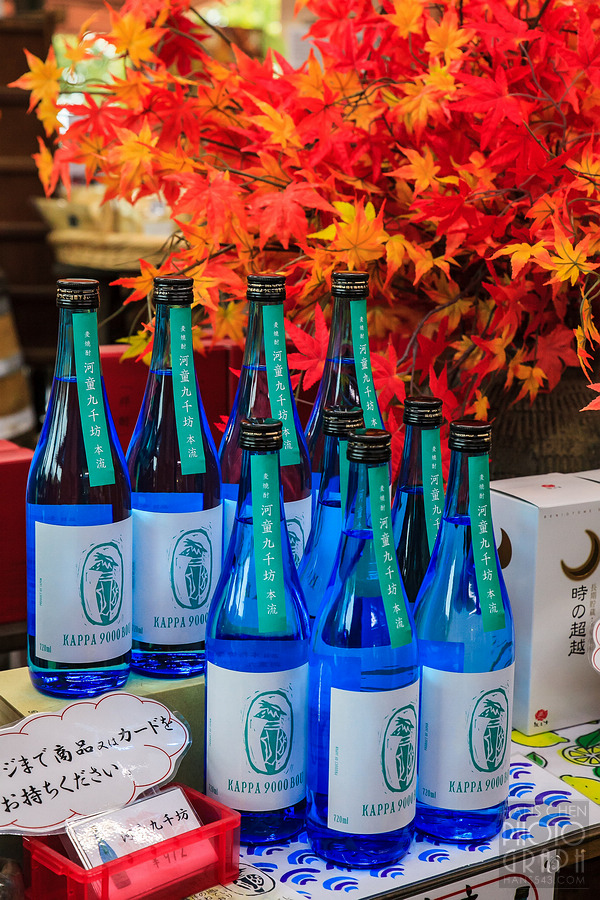 紅乙女酒造
