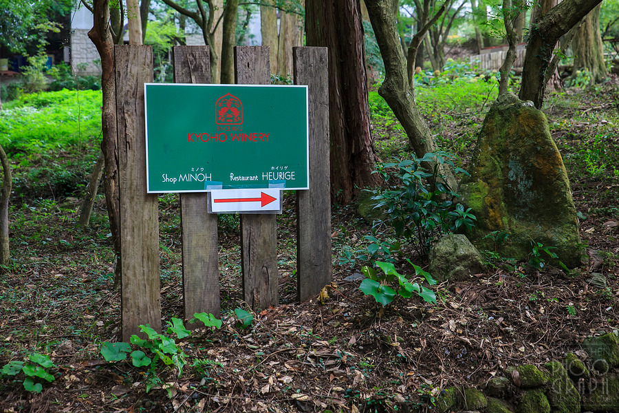 久留米紅乙女酒造巨峰葡萄酒園