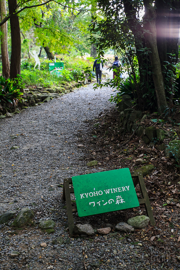 久留米紅乙女酒造巨峰葡萄酒園