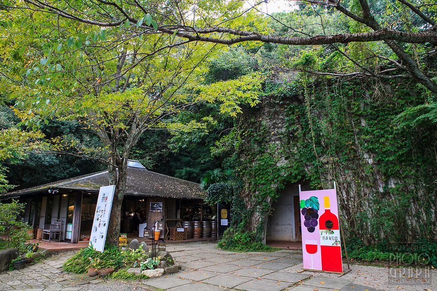 久留米紅乙女酒造巨峰葡萄酒園