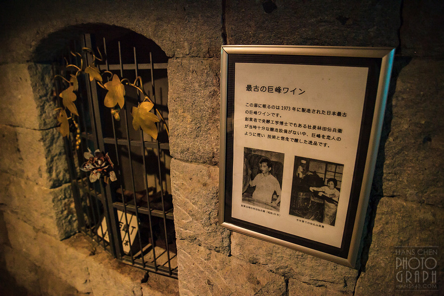 久留米紅乙女酒造巨峰葡萄酒園