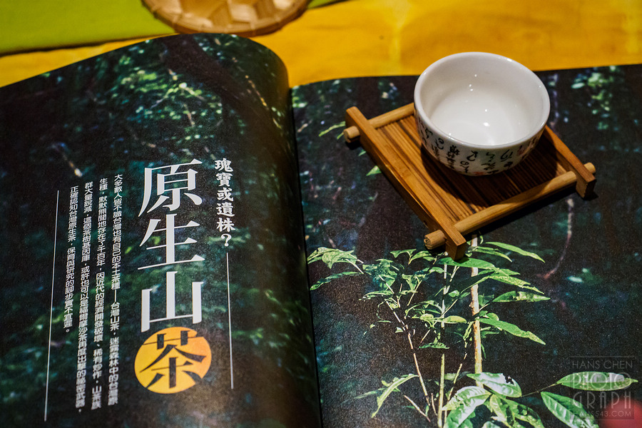 美崙山溫泉渡假山莊