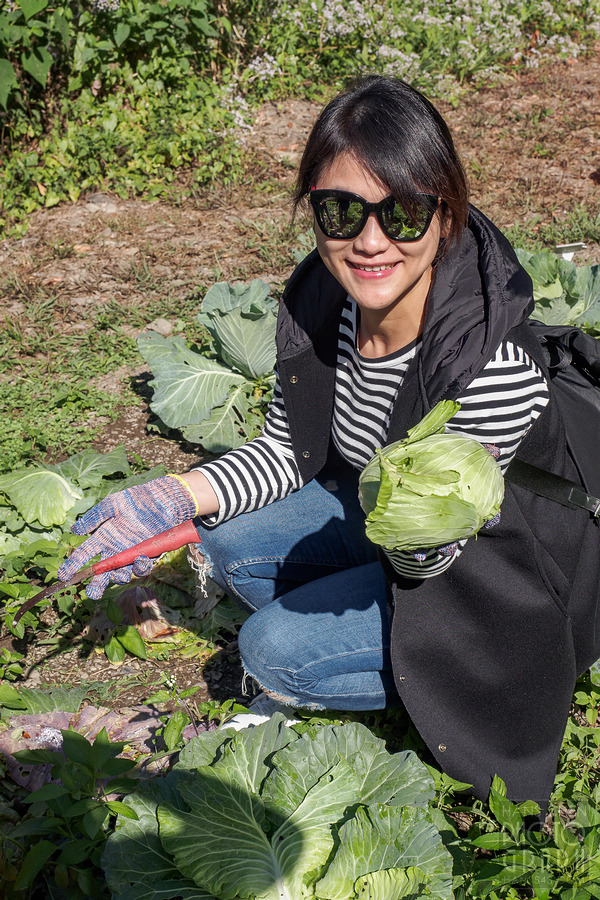 美崙山溫泉渡假山莊