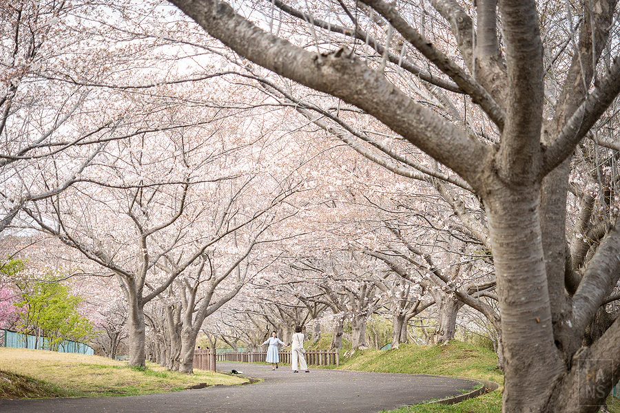 成田市櫻山公園