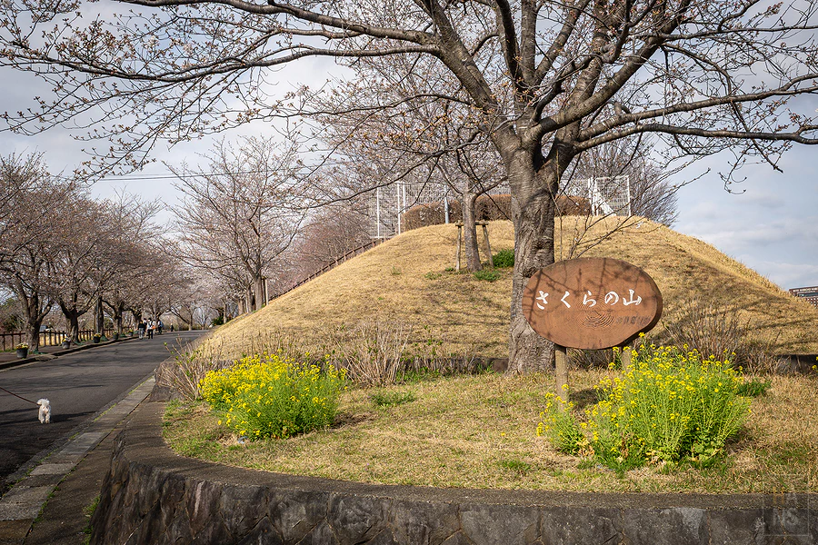 成田市櫻山公園