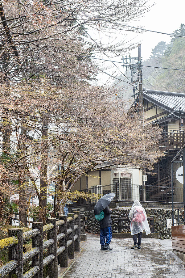 高尾山健行︱高尾山藥王院