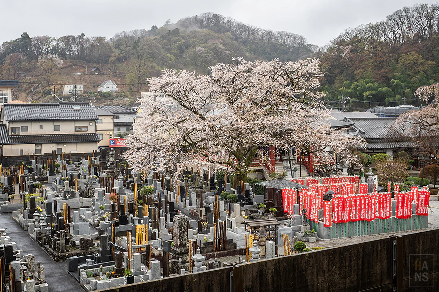 高尾山健行︱高尾山藥王院