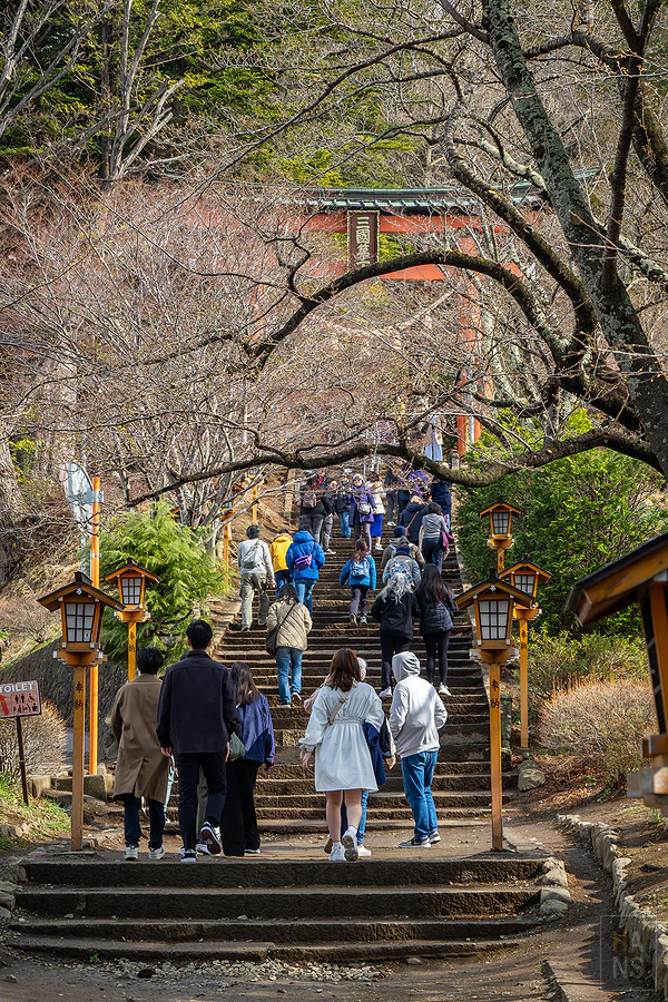 新倉山淺間公園五重塔