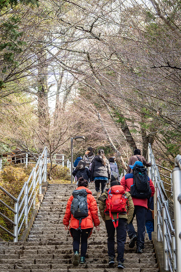 新倉山淺間公園五重塔