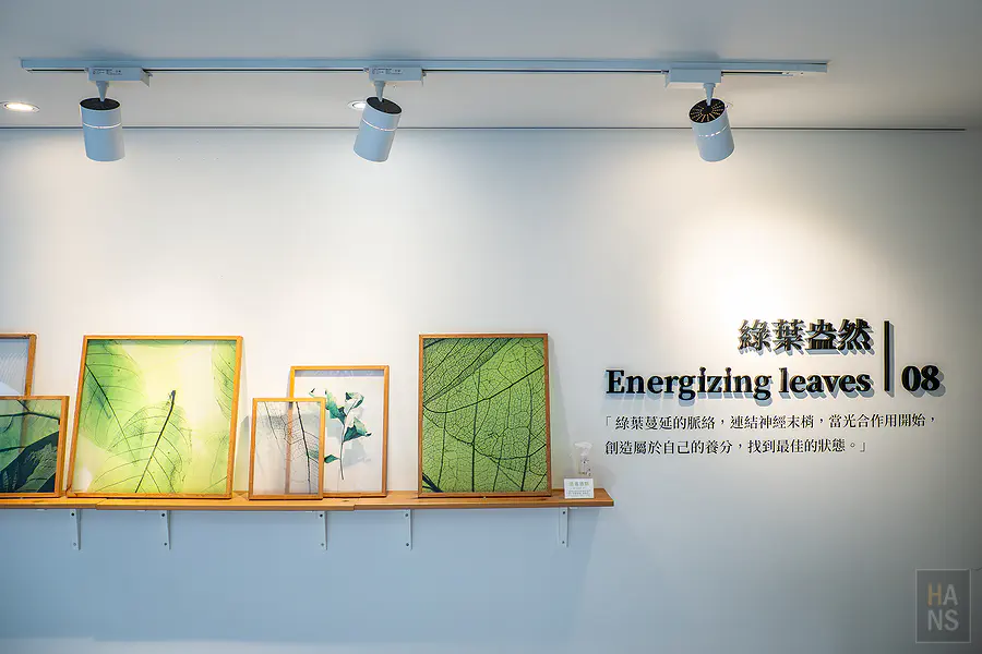 台中 綠宿行旅 Green Hotel