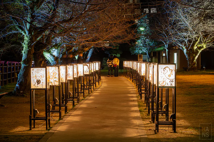 嬉野暖呼呼祭公園燈籠展區