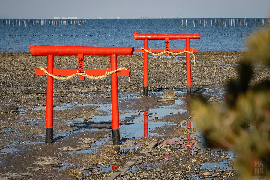 以松樹枝枒前景框住大魚神社海中鳥居的構圖