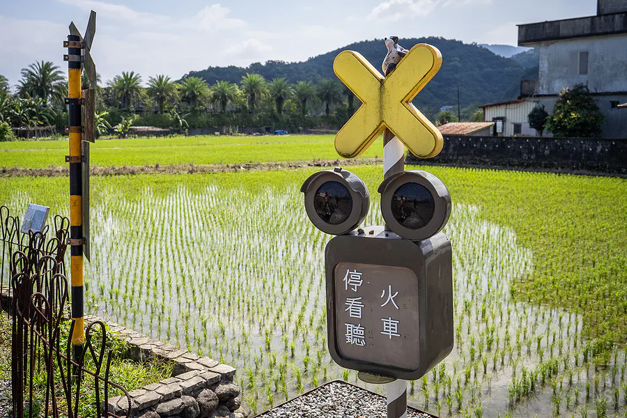 平交道停看聽號誌與小動物