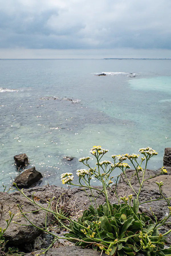 目斗嶼島上保留的舊有營舍廢墟與四周遼闊無邊的高視角海景