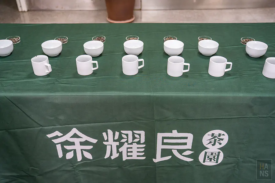 沖泡時升起的氤氳熱氣與迷人茶香