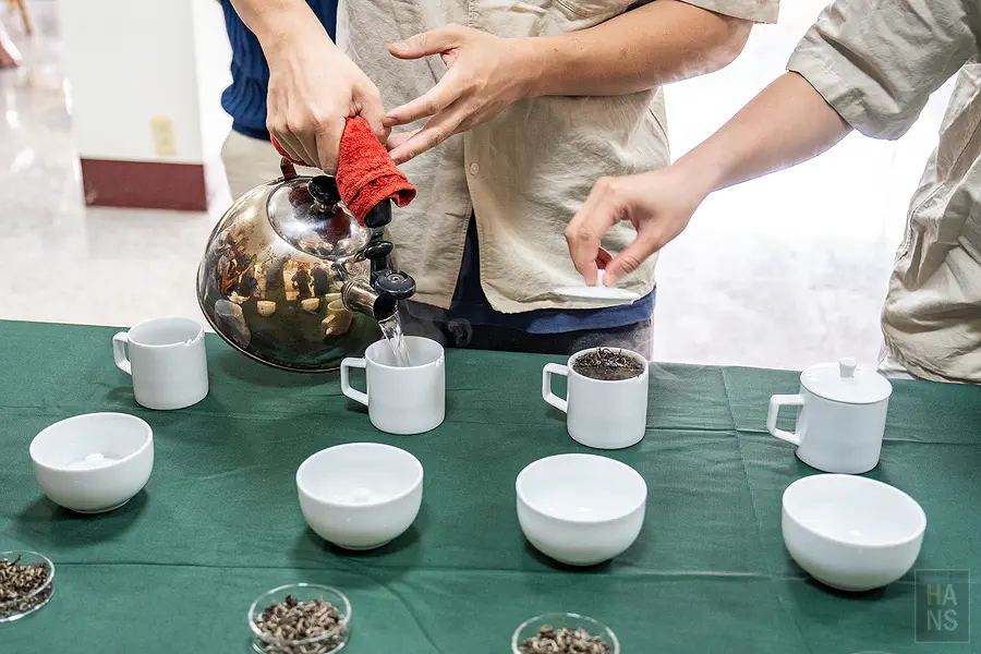 精準計算靜置時間以求最佳茶湯風味