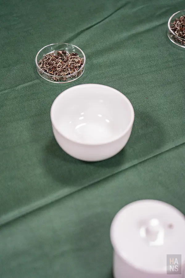 時間一到將茶湯精準倒出鑑定碗中