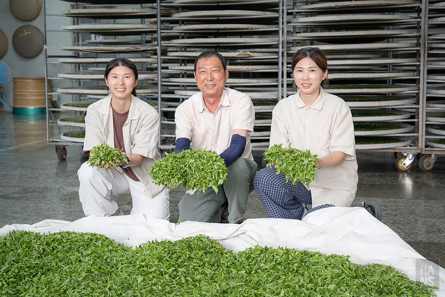 東方美人茶的甘醇滋味讓人回味無窮