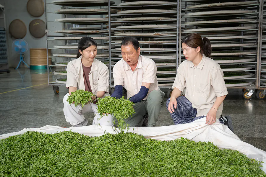 非常推薦喜愛茶文化的朋友來此親自體驗