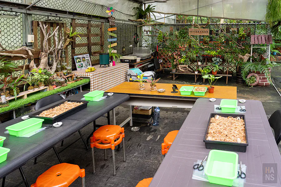 山豬窟苔球手作體驗教室，溫室內擺放整齊的手作工具