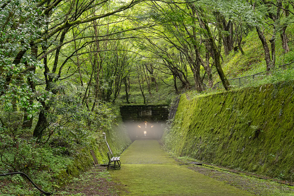 【大分景點】鯛生金山地底博物館︱終年 14 度的避暑秘境！坑道口薄霧宛如異世界結界，淘金體驗超好玩
