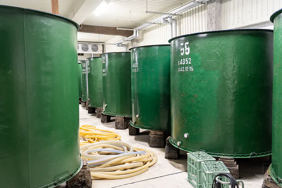鷹來屋釀造場內整齊排列的綠色酒槽群