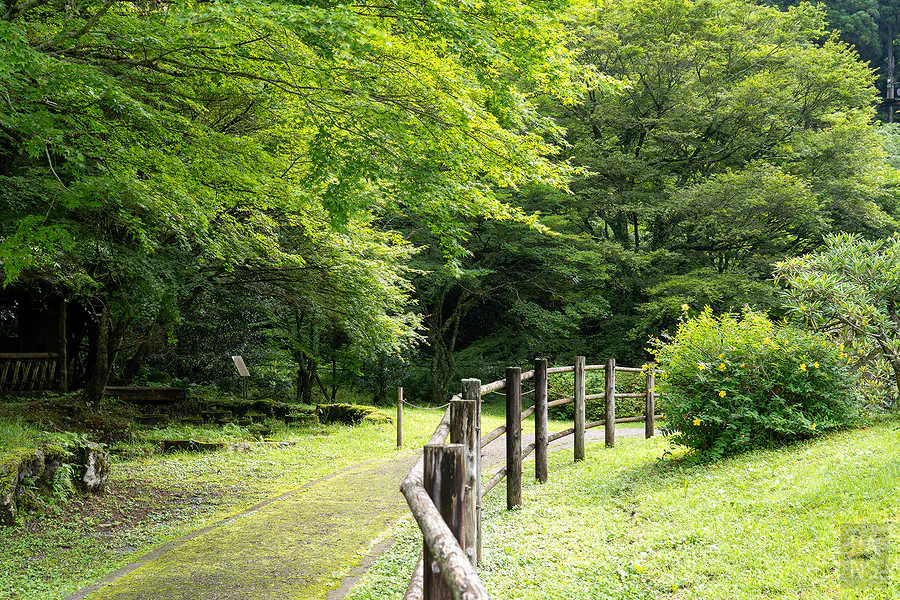 鯛生金山往坑道口的綠意步道