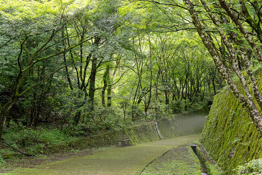 鯛生金山坑道前青苔石壁與遠方薄霧