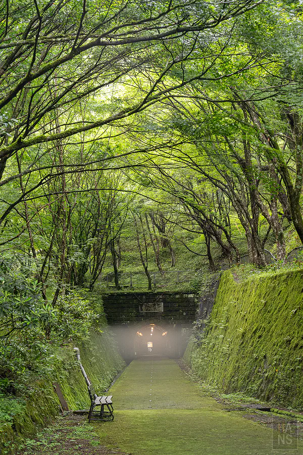 鯛生金山坑道入口溫差薄霧