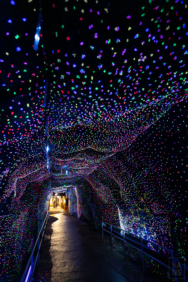 鯛生金山夢幻燈飾隧道直幅星空感
